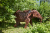 Скульптура Слон/Elephant Скульптура Слон/Elephant