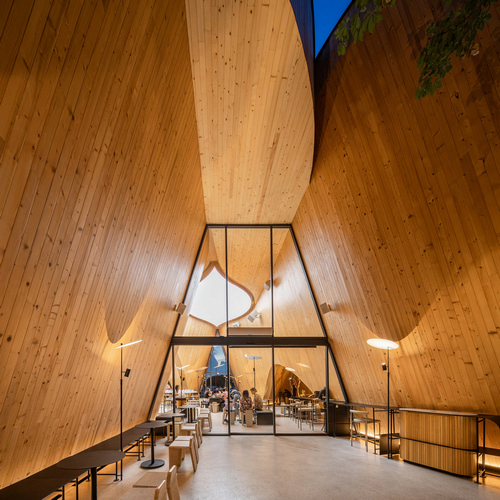 Дерево баобаб растёт в изогнутом кафе в Таиланде от IDIN Architects