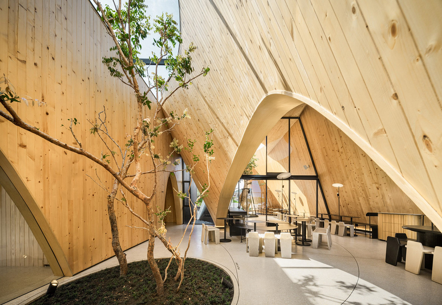 Дерево баобаб растёт в изогнутом кафе в Таиланде от IDIN Architects