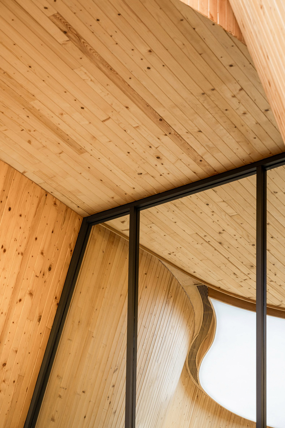 Дерево баобаб растёт в изогнутом кафе в Таиланде от IDIN Architects