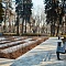 Речной вокзал, Москва, 2020 г.