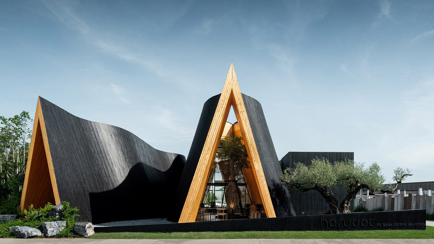 Дерево баобаб растёт в изогнутом кафе в Таиланде от IDIN Architects