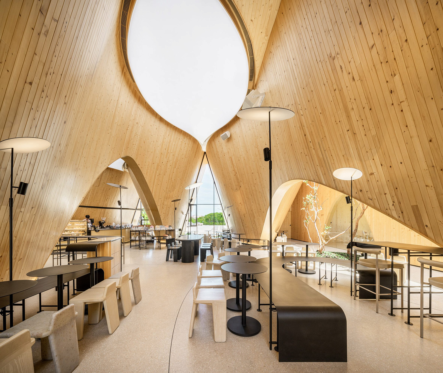 Дерево баобаб растёт в изогнутом кафе в Таиланде от IDIN Architects